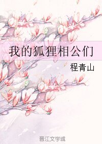我的狐狸相公們